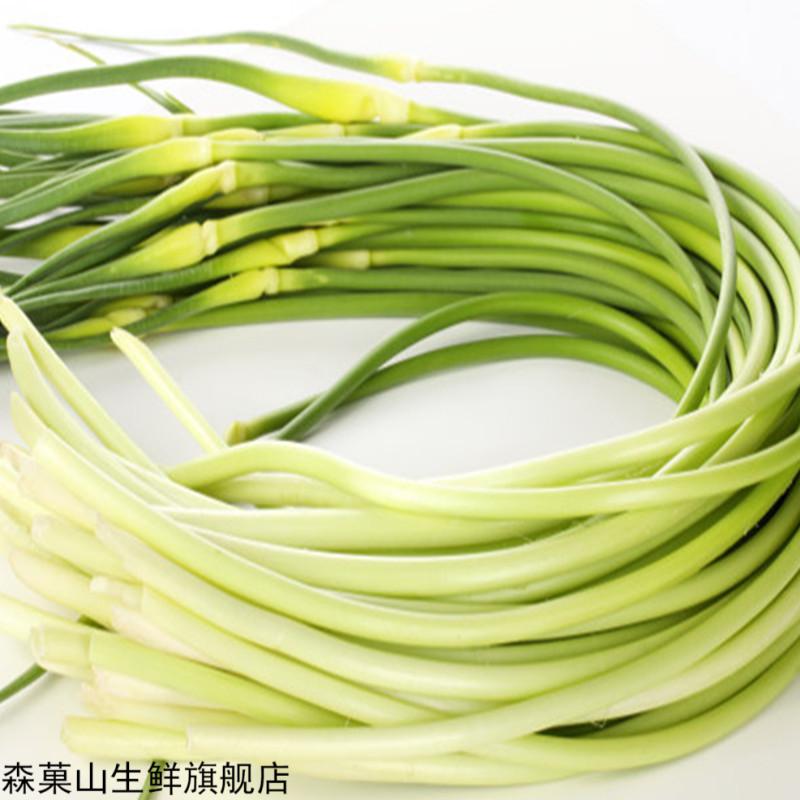 四川温江蒜薹新鲜白帽蒜苔时令蔬菜现摘现发500g