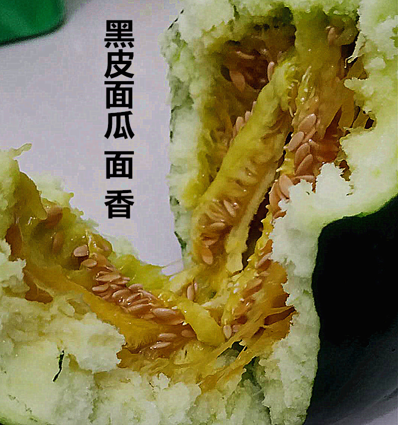 顺丰直达山东老面瓜黄皮面瓜黑皮面瓜香瓜老年人瓜果低糖瓜成熟采摘三