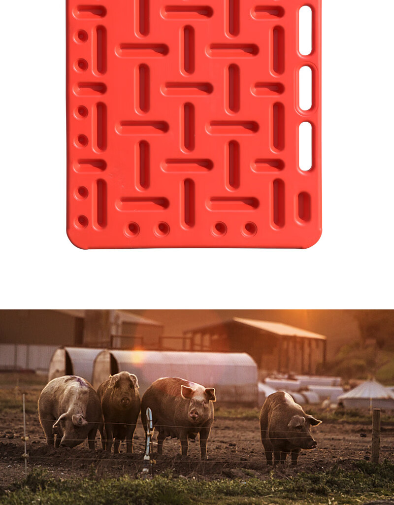 挡猪板加厚耐用拦猪板畜牧养猪设备隔猪板轰猪板塑料赶猪板三代小号挡
