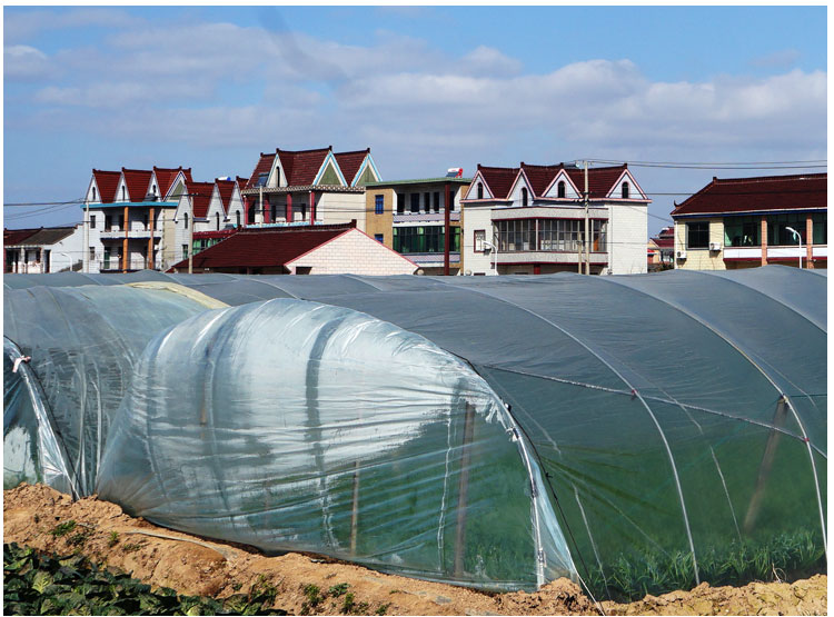 加厚塑料膜大棚膜薄抗老化塑料布透明防雨水布装修防尘布封窗防风碧