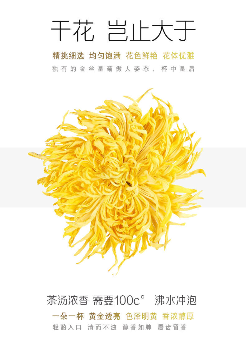 顺丰正常发货【血亏冲量】超大朵金丝皇菊一朵一杯特大朵菊花茶大黄
