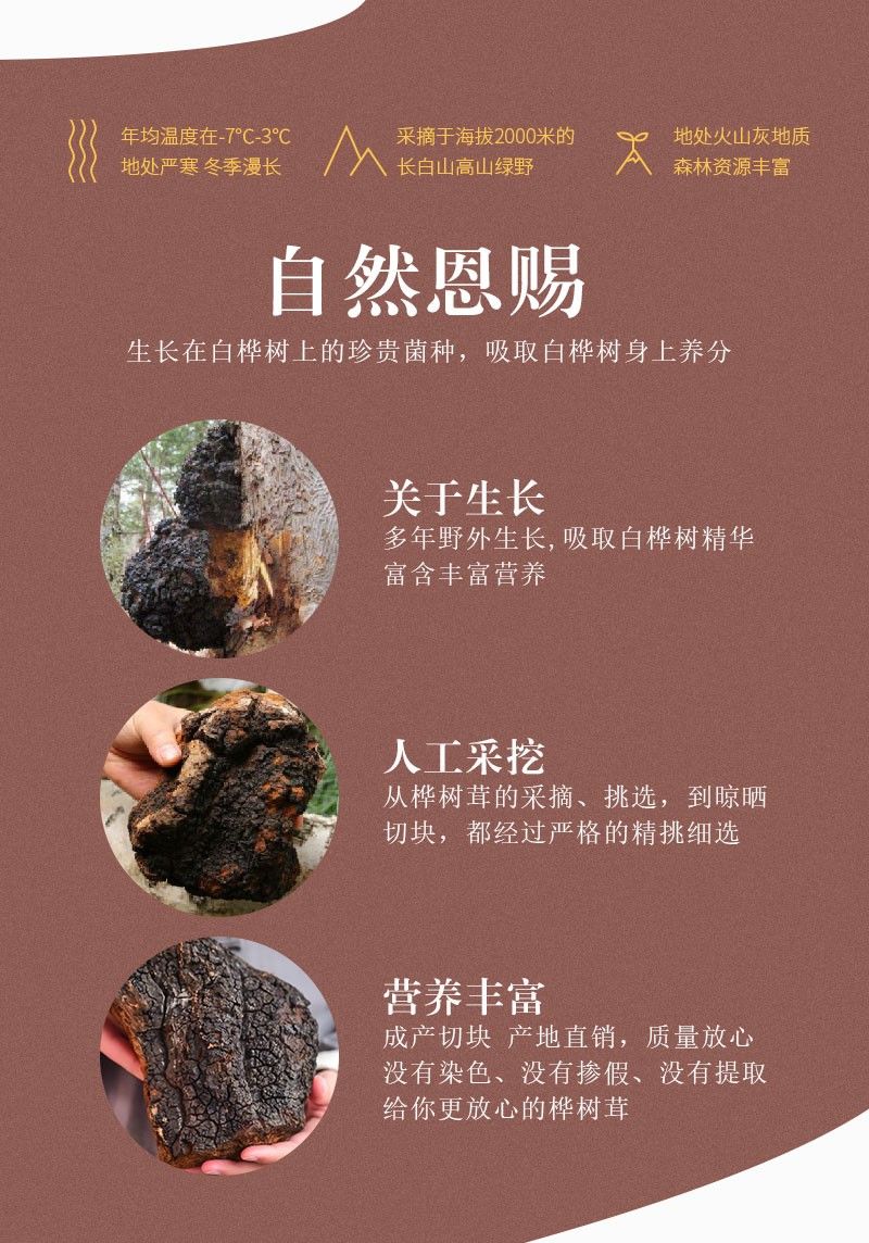 官方旗舰桦树茸俄罗斯桦树茸桦褐孔菌白桦树茸500克桦树茸500克切快