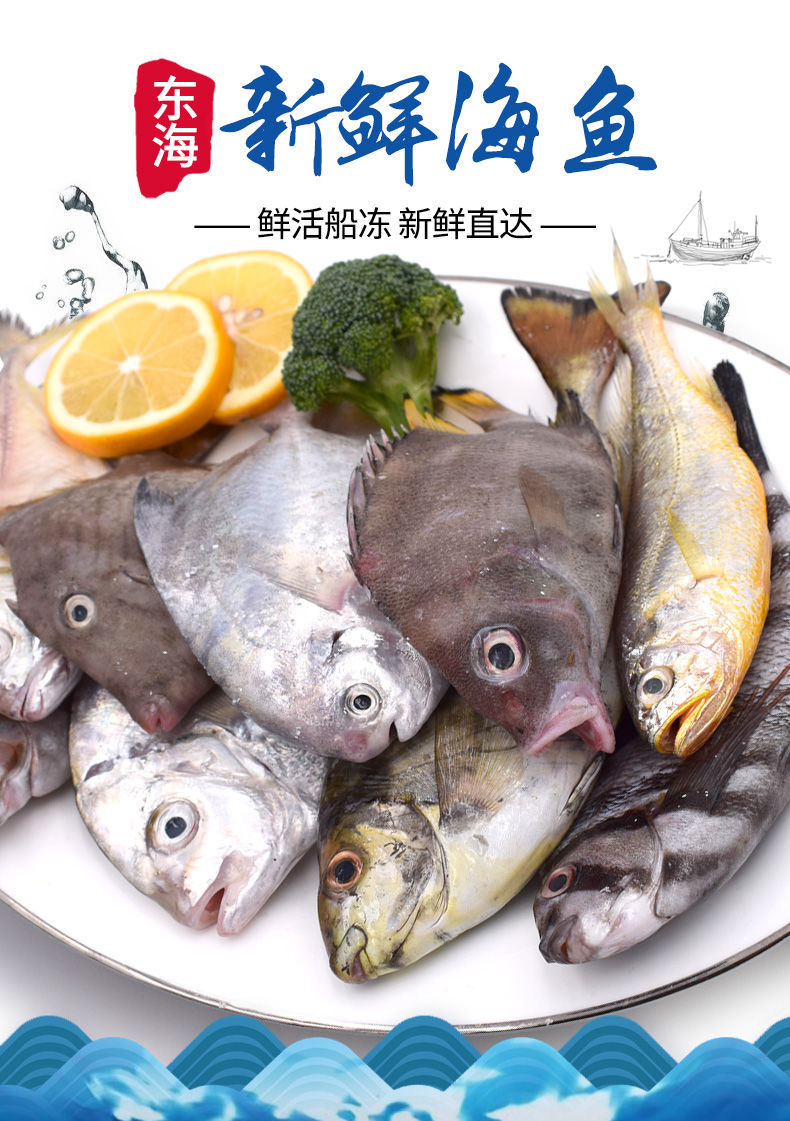8斤海杂鱼国产冰鲜海鲜乱炖食材500g十字丽日8斤当天上岸海鱼自家放心