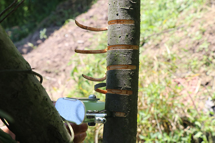新型树皮环剥器环割刀果树环剥刀柑橘柚子橙子枣树果树环割器 轮滑