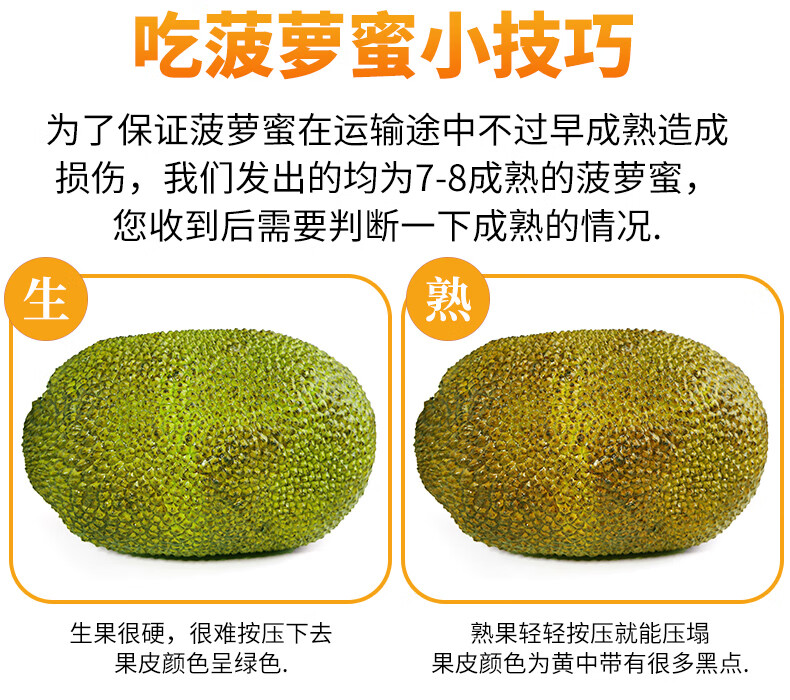菠萝蜜 黄肉菠萝蜜 一整个 海南大树木菠萝蜜 当季新鲜水果 精选大果