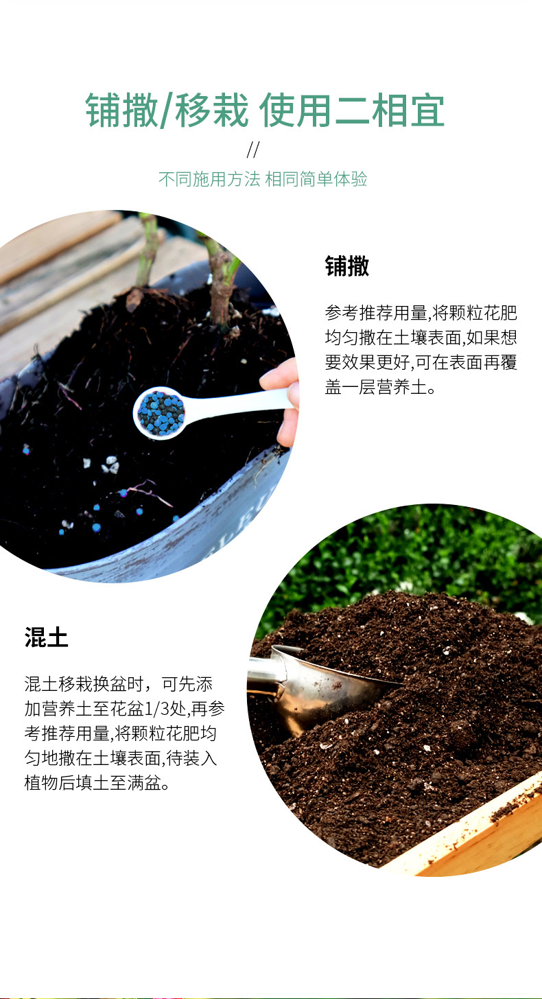 月季花肥花卉植物玫瑰月季花肥料多肉茉莉花促开花肥料 月季颗粒肥400