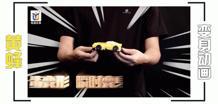 3673a91a6b810bfa.gif