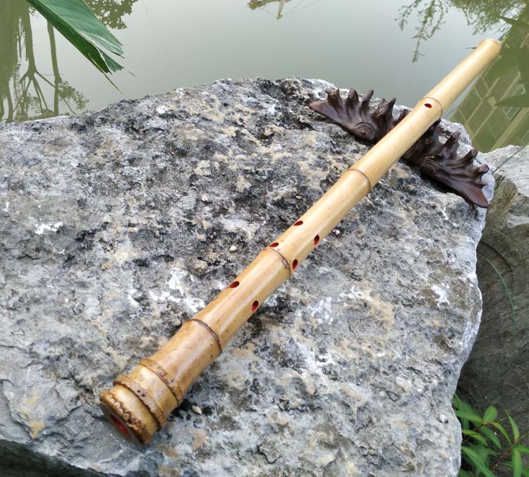 欧特海桂竹南箫初学八孔大头竹根南箫外切口尺八短箫乐器 8孔d调南箫