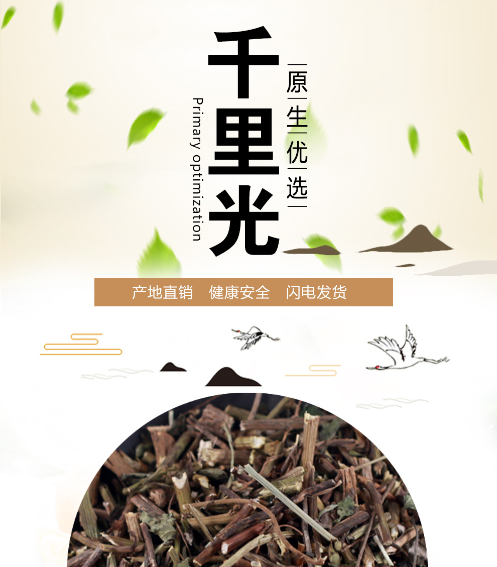 北京同仁堂千里光散装九里光黄花母一扫光500g小孩洗澡中药材千里明草