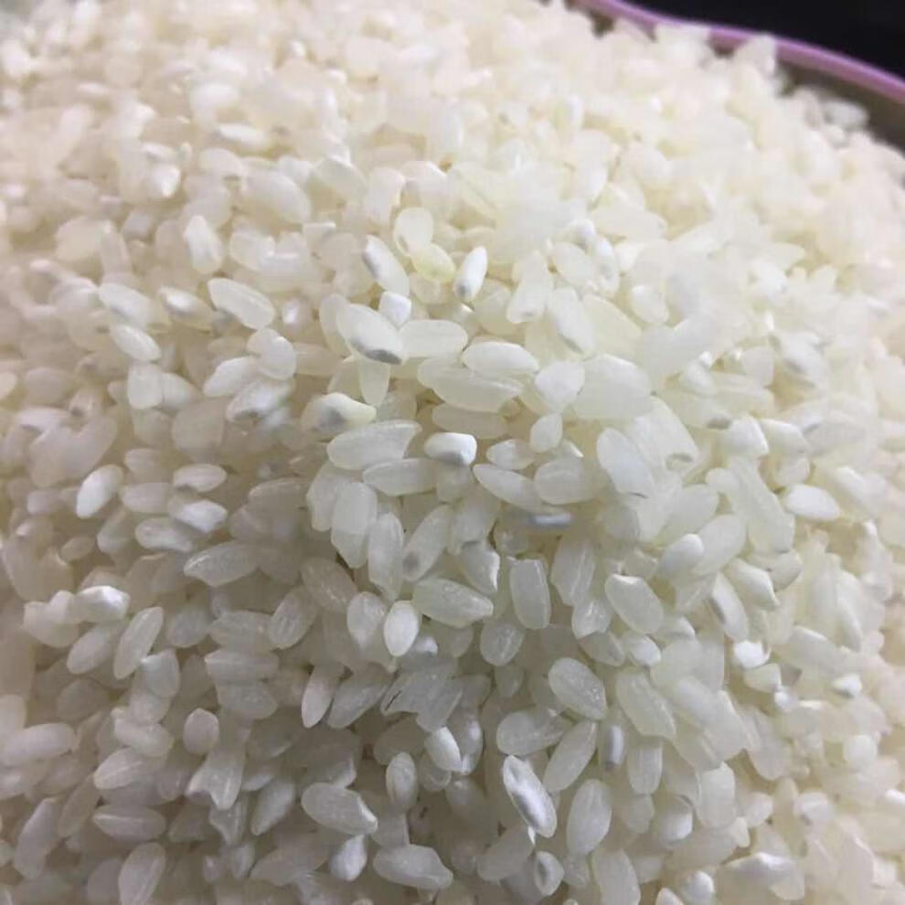 新早稻米早籼米50斤20斤10斤5公斤易消化农村粗糙不抛光打蜡2020新10