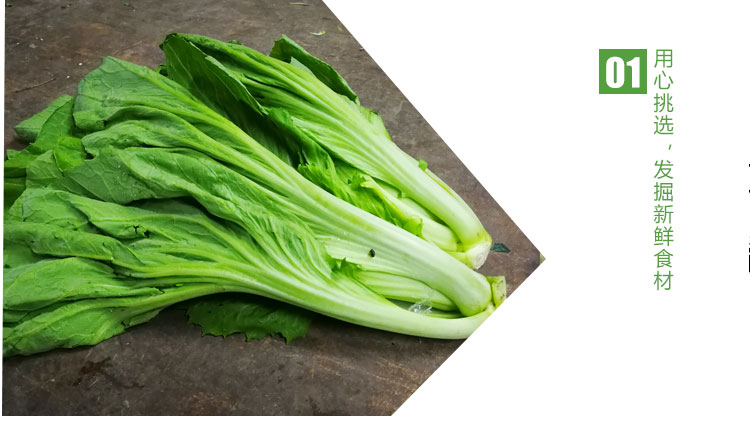 新鲜水芥菜500g 清炒爽脆可口腌制酸菜咸菜 水东芥菜盖菜青菜蔬菜