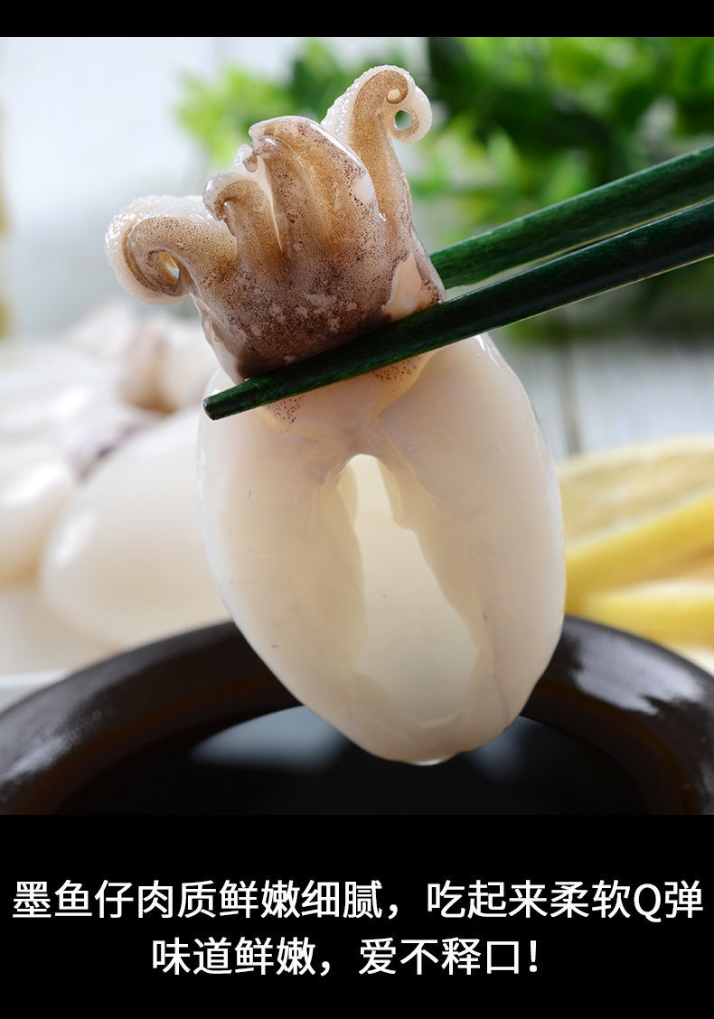鲜活墨鱼仔小墨鱼冷冻墨鱼烧烤火锅食材惟纳德大号墨鱼仔5斤墨鱼仔