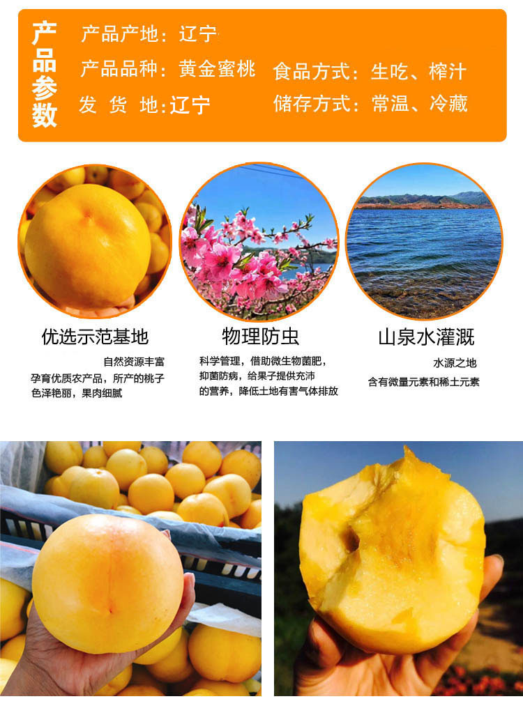 (顺丰)黄金油桃蜜桃黄油桃孕妇应季桃子新鲜水果精选一级桃 5斤装