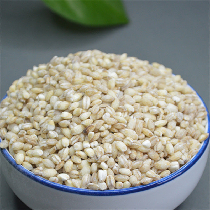 【纯大麦粉】 生大麦面粉全面粉五谷杂粮粗粮粉 1斤大麦粉