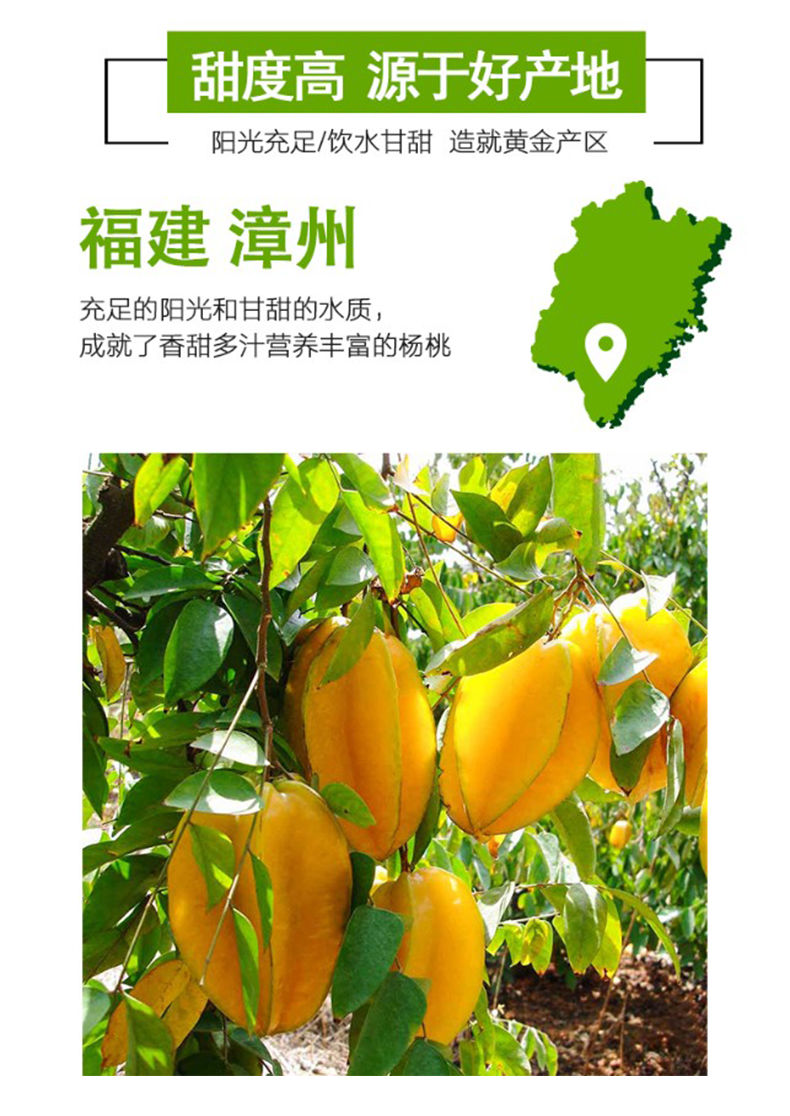 【顺丰】杨桃新鲜水果应季甜杨桃2-5斤现货福建3整箱 【顺丰快递】