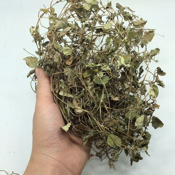 【亏本卖3天】金钱草500g四川正宗大叶金钱草干茶过路黄溶石草