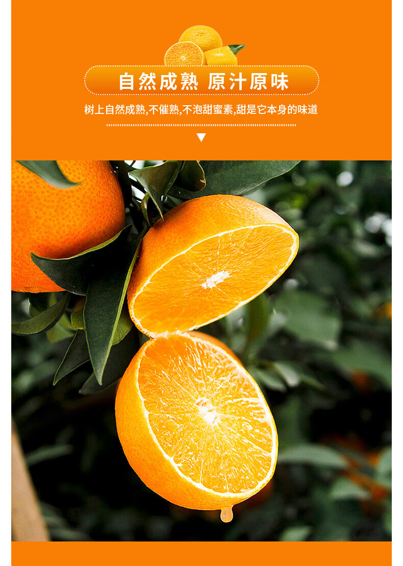 甜萌果蔬红美人28号红美人当季新鲜水果柑橘薄皮手剥橘子送礼佳品带箱