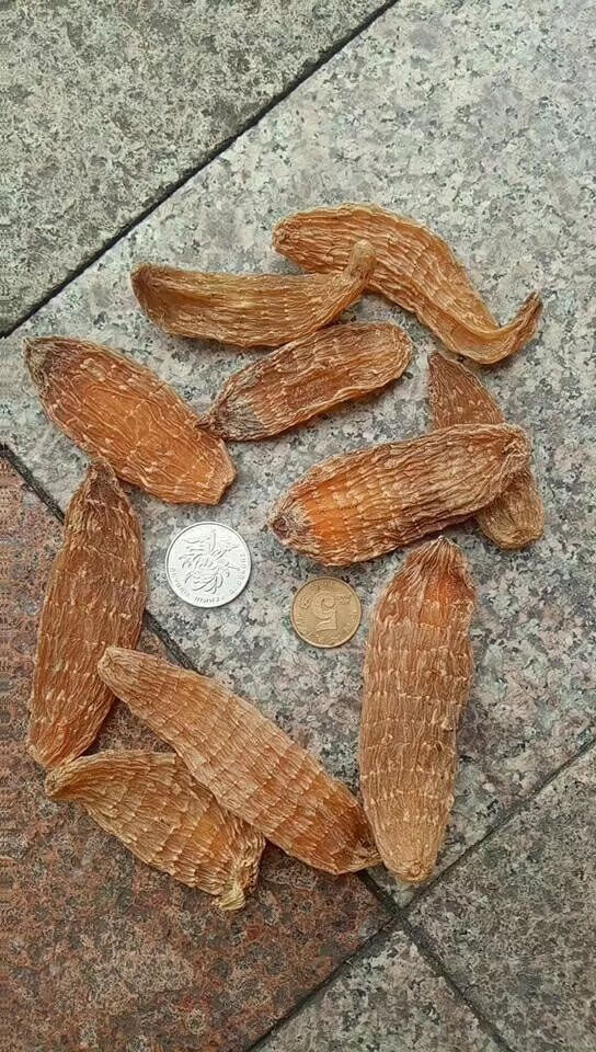 亏本卖啦天麻云南正宗丽江红天麻特级昭通切片打磨粉头疼晕昭通特级