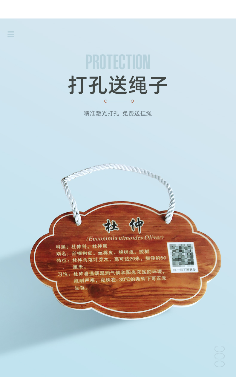 树牌挂牌定做学校公园植树节树牌卡设计定制植物绿化信息牌树木介绍