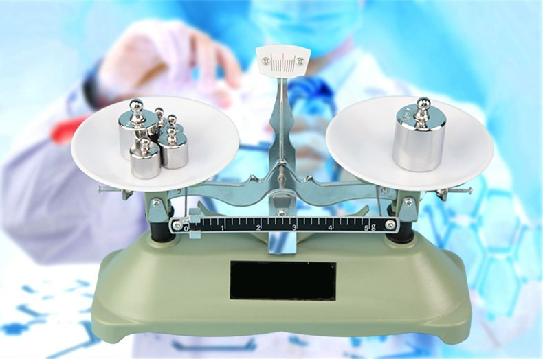 熊来跑 托盘天平秤称砝码家用物理实验室架盘高精度机械天平秤教具小