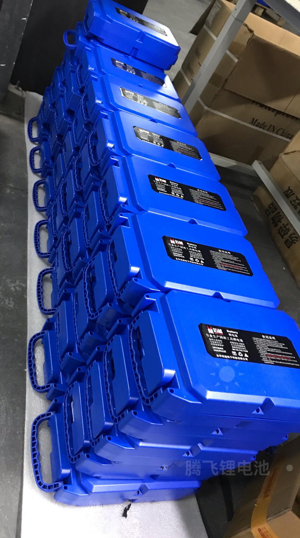电动绿篱机锂电池 48v 电动车割草机采茶机绿篱机锂电池草坪机48v24v