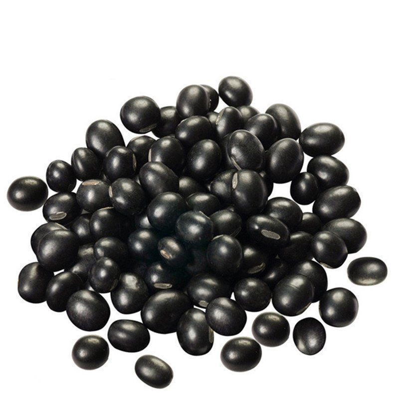 金刚黑豆种子千斤豆黄豆种子早黄豆种子特大高产大豆种籽 -量大联系