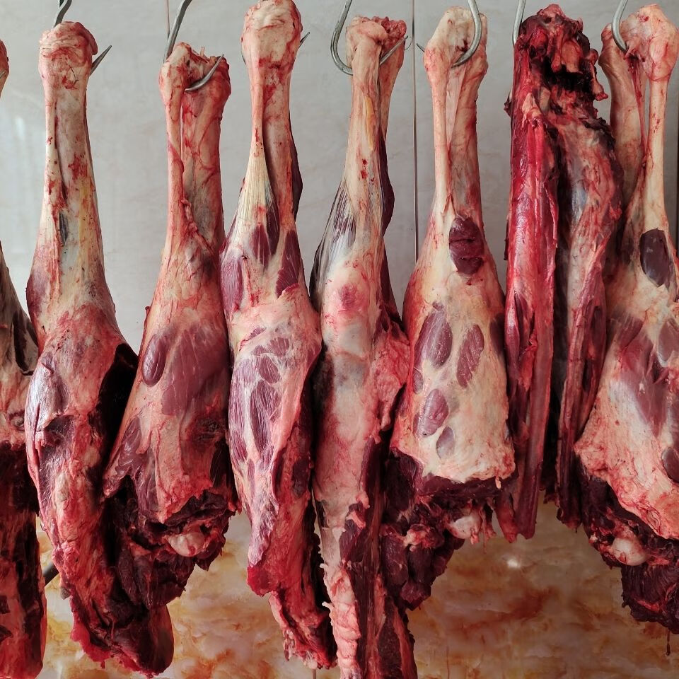 棠鲜生新鲜骆驼肉内蒙古牧区自家现杀骆驼肉5斤装2500g