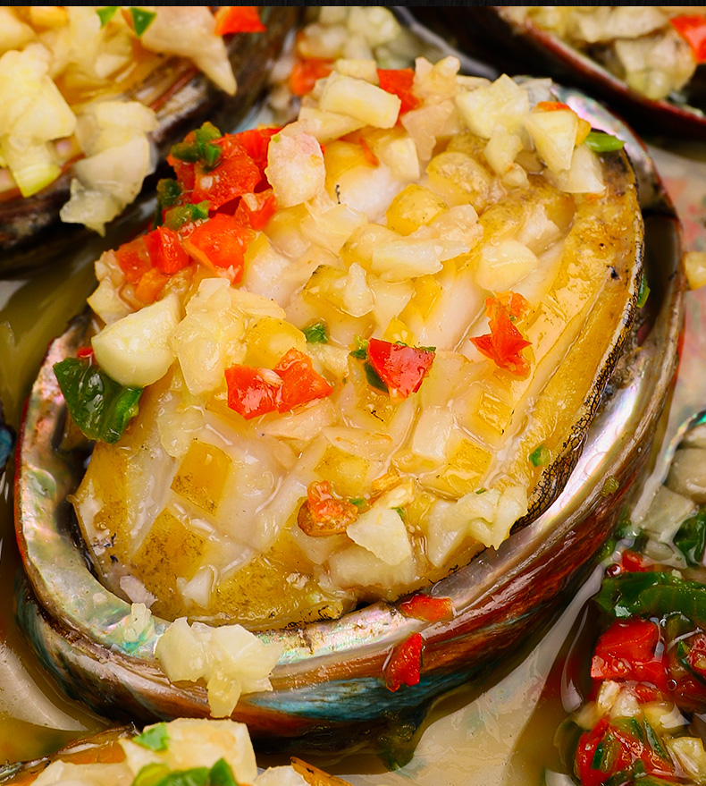 海皇湾 鲍鱼鲜活海鲜贝类水产新鲜鲍鱼崂山特产海捕鲍鱼九孔鲍鱼特大