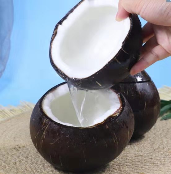 海南预切口椰皇预开口椰王椰子冻预开盖炖汤炖盅抛光老椰子4个装