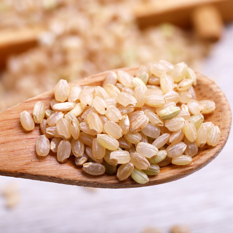 糙米粗粮主食富硒大米胚芽米农家自种新杂粮米 五谷杂粮饭5斤