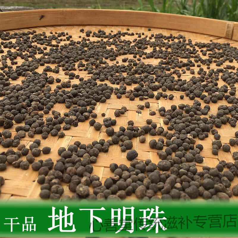 地下明珠中药材地下明珠落地珍珠陈伤子茅膏菜根100克