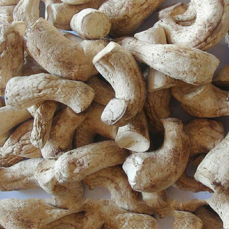 双剪大香菇脚干香菇丝 商用香菇腿干货冬菇柄花菇脚500 50g试吃【量少