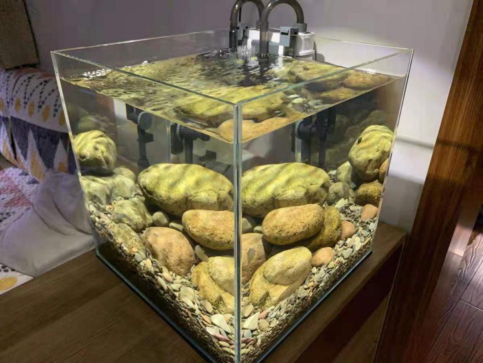 原生缸底砂造景石天然溪流沙底沙河沙原生鱼缸溪流缸沙虾虎鱼沙子溪