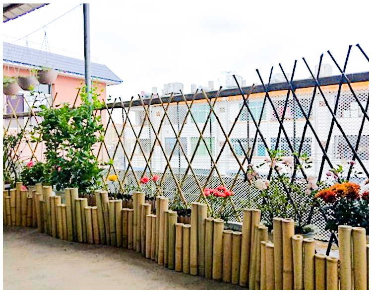 围栏庭院花园装饰阳台小篱笆菜园隔断 白竹小栅栏高度长度定做【图片