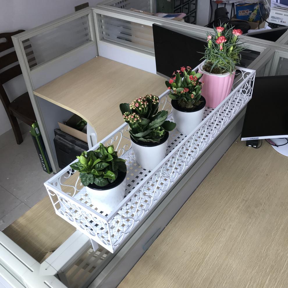 办公室工位花架办公室文件收纳置物架办公桌隔板绿萝花架工位卡槽多肉