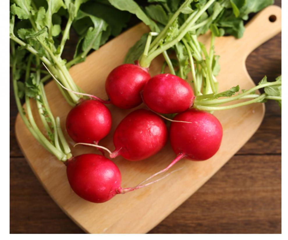 东北红皮新鲜樱桃萝卜生吃迷你小水萝卜红圆萝卜脆甜蘸酱菜 2500g