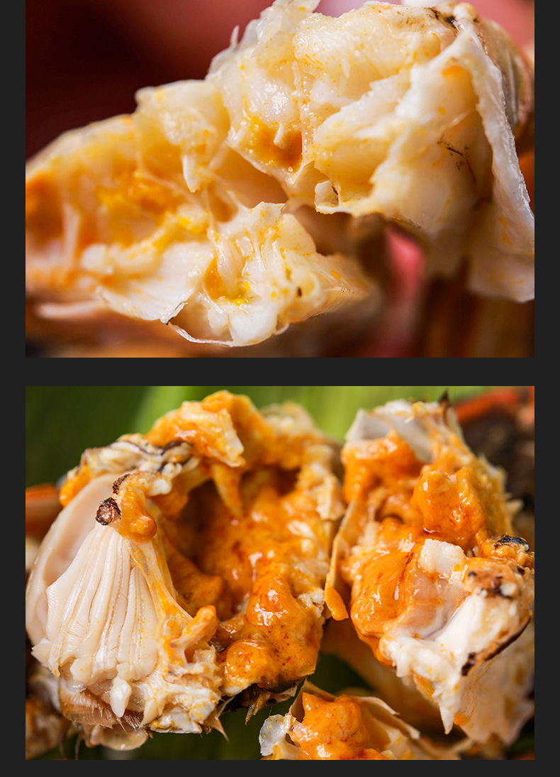 大闸蟹鲜活新鲜特大六月黄现货螃蟹公母生鲜塞红康尔3631两8只