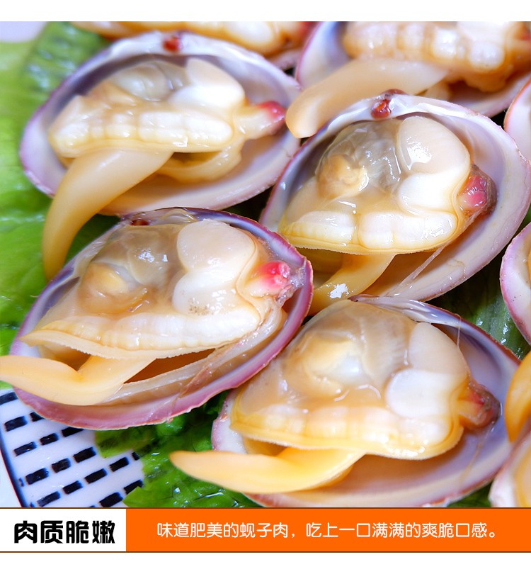 丹东特产大黄蚬子野生鲜活无沙生鲜海鲜贝类水产蛤蜊花甲4斤