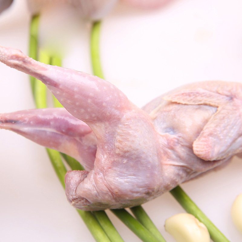 【顺丰现货】鹌鹑肉 新鲜鹌鹑肉 鲜嫩鹌鹑肉 煲汤烧烤食材 16只装