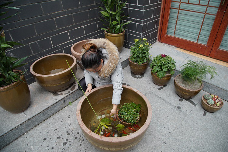 陶瓷鱼缸养鱼盆大号特大老式水缸泥盆阳台造景睡莲荷花盆庭院家用加厚