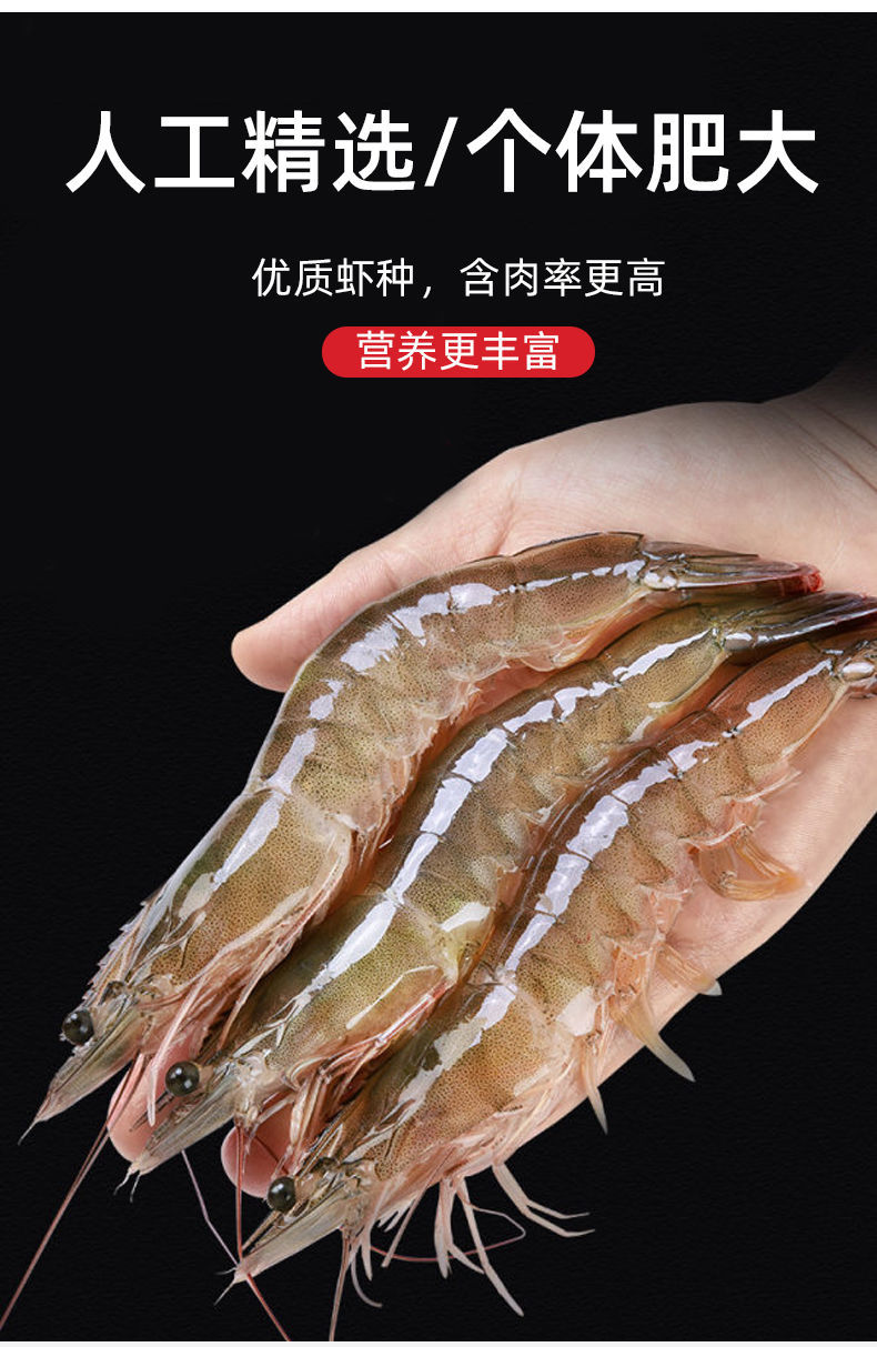 顺丰速运青岛大虾鲜活虾海鲜水产海捕新鲜冷冻大虾白虾海鲜批发林诺新