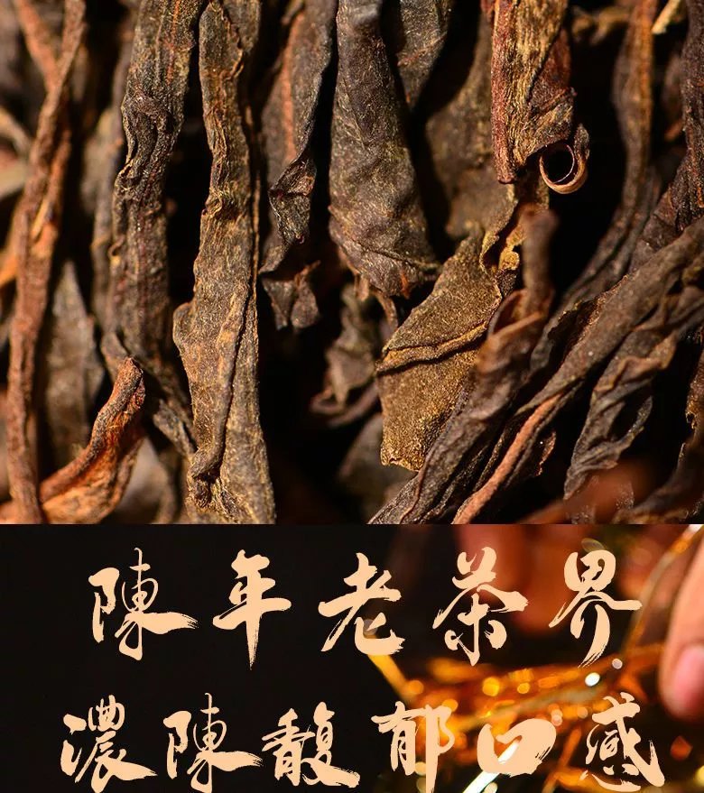 普i洱茶老散茶老茶勐海印级茶料陈年老树老生茶老陈茶袋装500克/袋