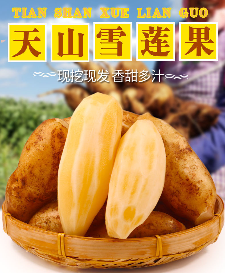 云南天山雪莲果当季孕妇新鲜水果黄心红心整箱带箱6斤小果
