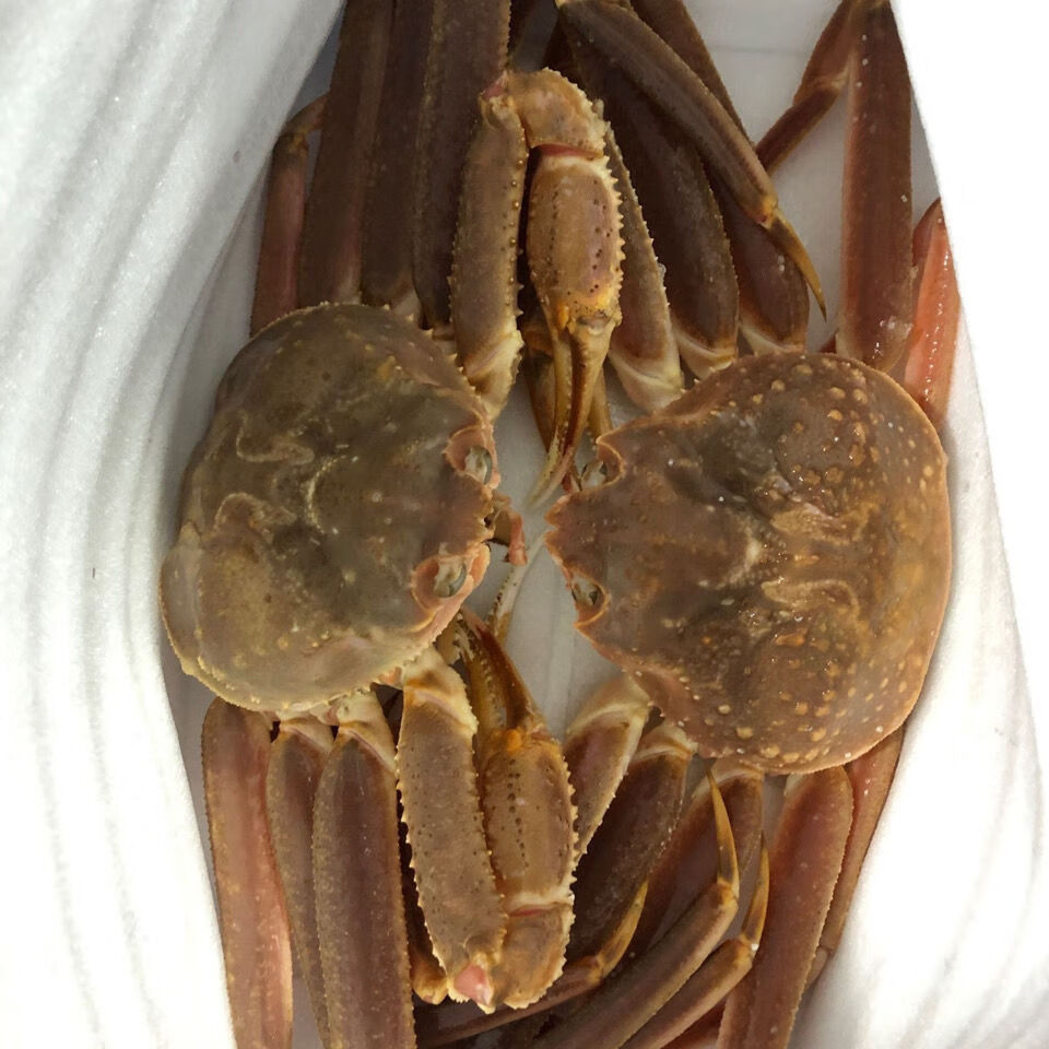 板蟹雪蟹海蟹 冰鲜 松叶蟹长脚蟹蟹大板蟹2只3.5-4斤装 3.