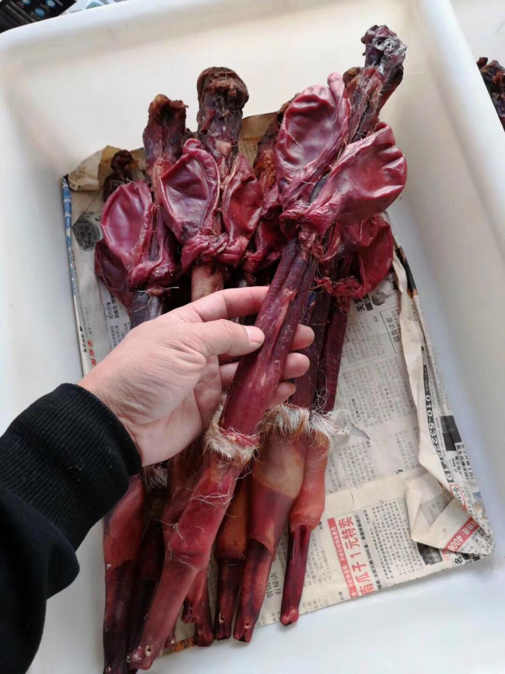 鹿鞭干整根男用鹿鞭片泡酒料成年新鲜鹿鞭吉林梅花鹿鹿鞭整枝