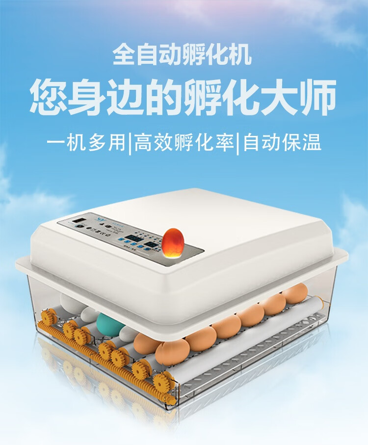 泡沫箱孵化机鸡蛋孵化器小型家用小型孵化箱水床孵蛋器孔雀鸭鹅蛋 32