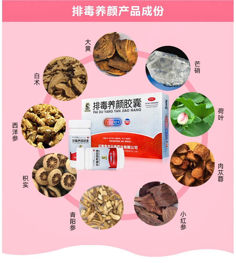 盘龙云海 排毒养颜胶囊100粒 痤疮颜面色斑 益气活血 通便排毒 4盒