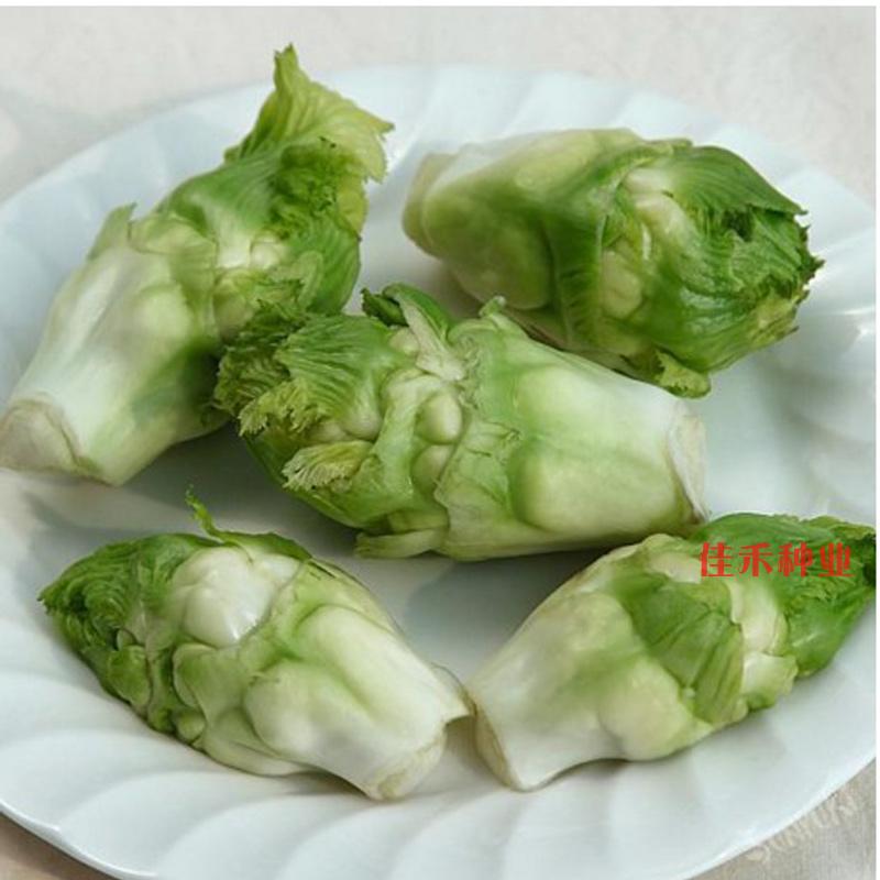 四川儿菜种子抱子芥菜籽娃娃菜胖儿菜春秋播阳台蔬菜农家田8g原装约