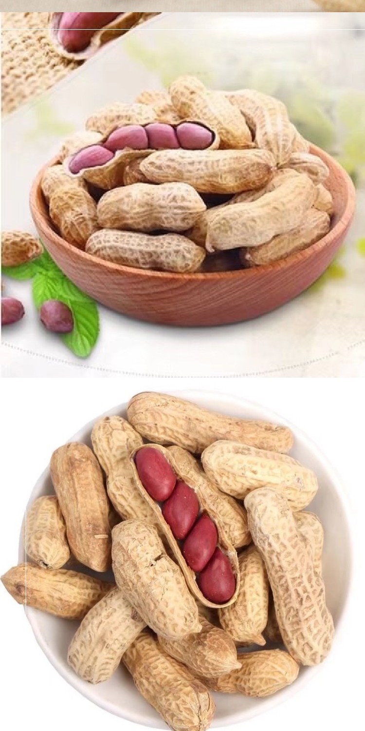 四粒红花生果原味龙岩花生红皮花生 (生)带壳晒干富硒黑花生1500g