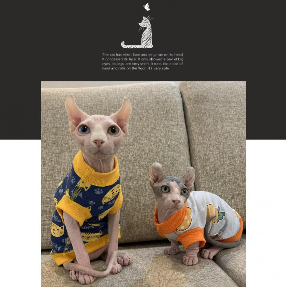 斯芬克斯无毛猫衣服秋冬保暖款婴儿级纯棉针织防过敏无骨缝合工艺防扎